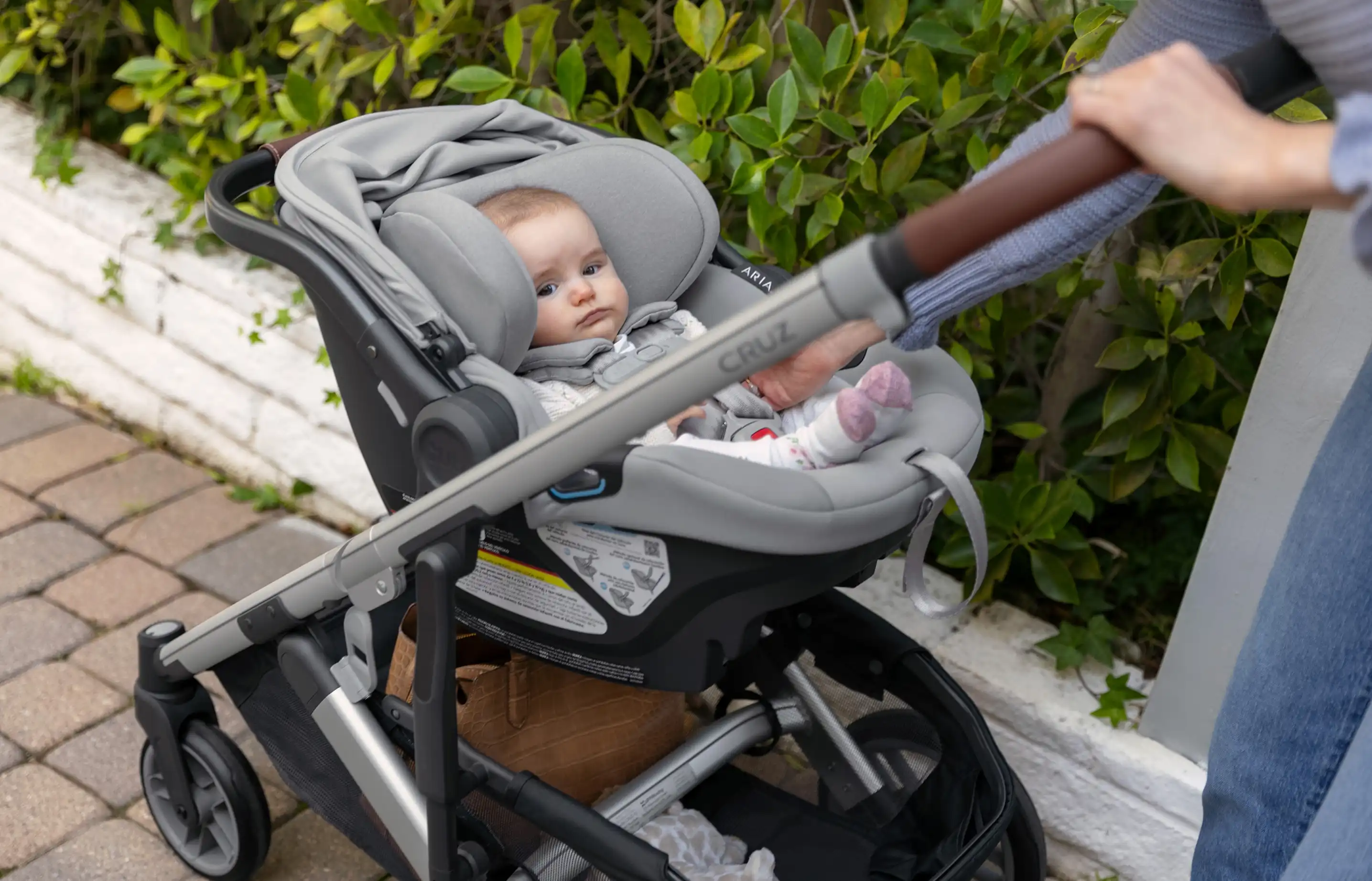 An infant securely fastened in an Aria car seat installed on the Cruz